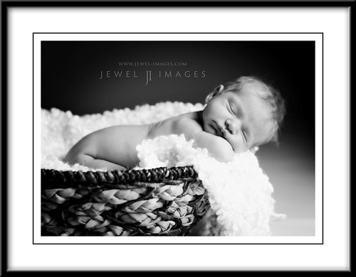 _don6169-bw