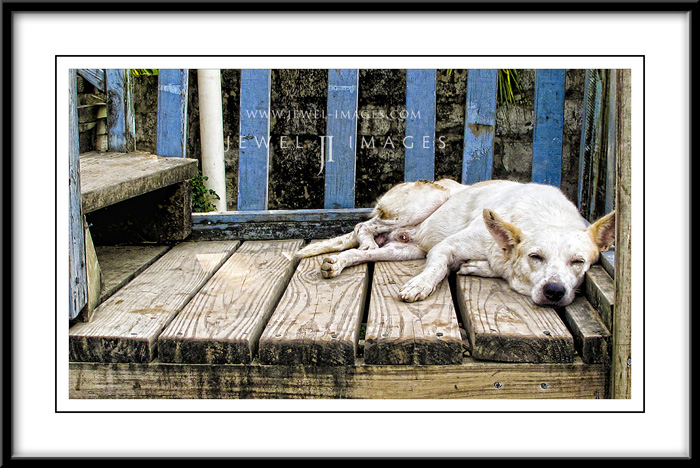 img_0204topazframe