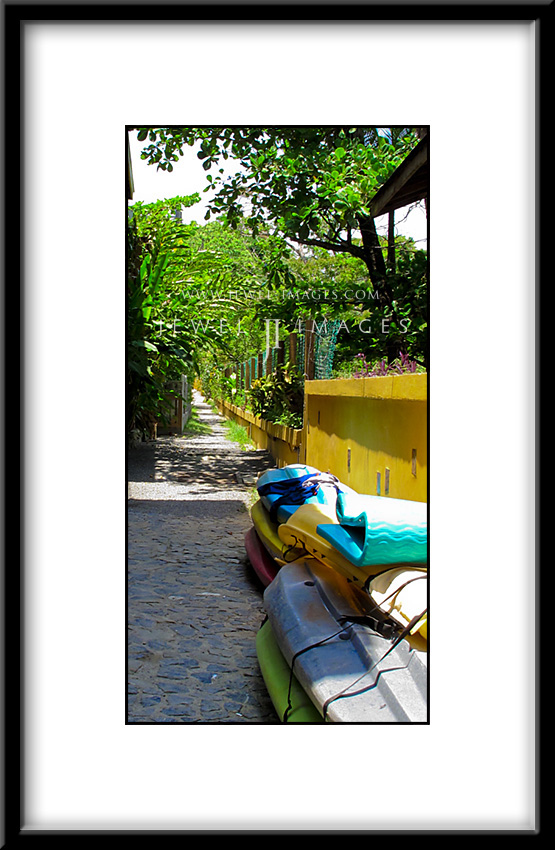 img_0272-copy