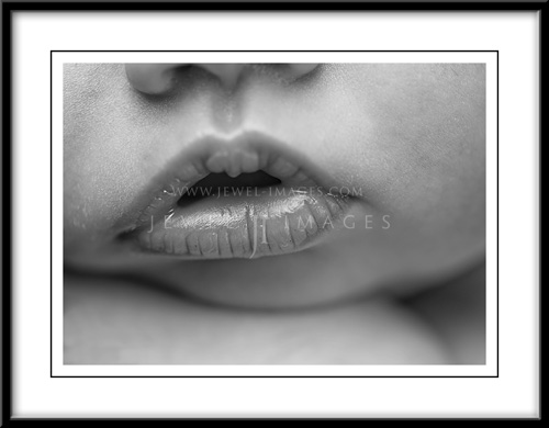 nut042-bw