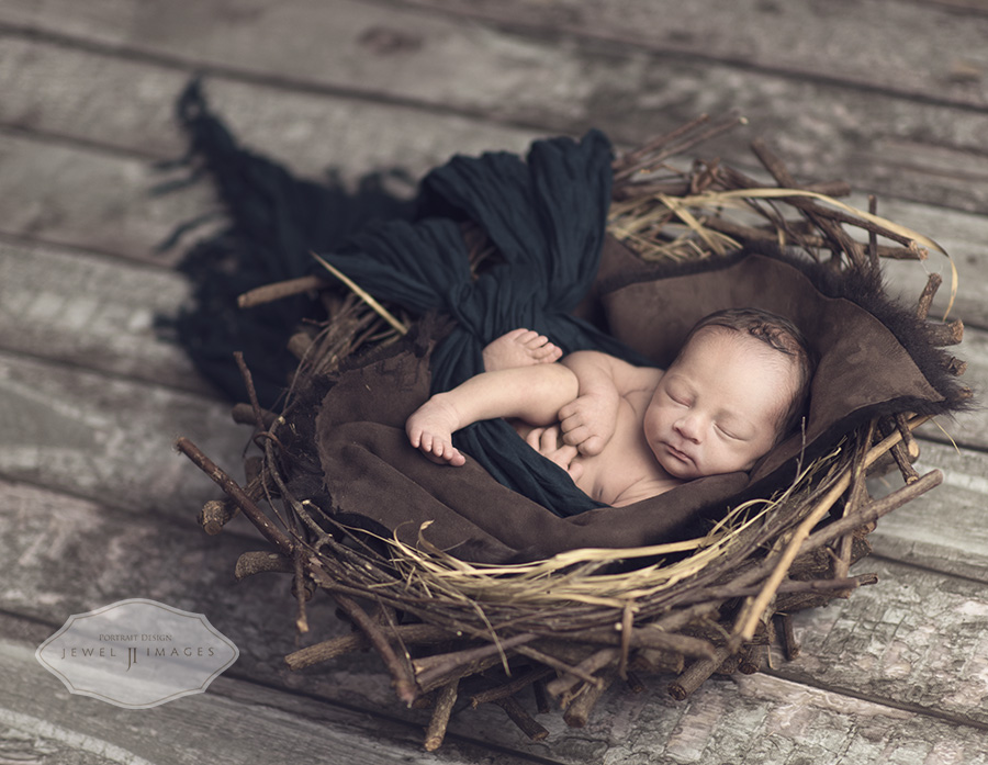 Perfectly nested | Jewel Images Bend, Oregon Newborn Photographer www.jewel-images.com #newborn #photography #newbornphotographer #jewelimages